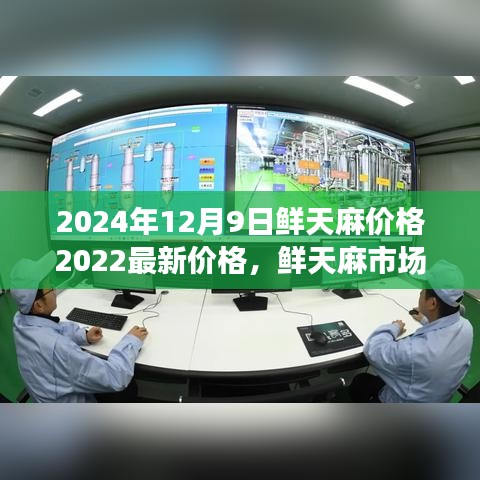 貌美如花 第3页