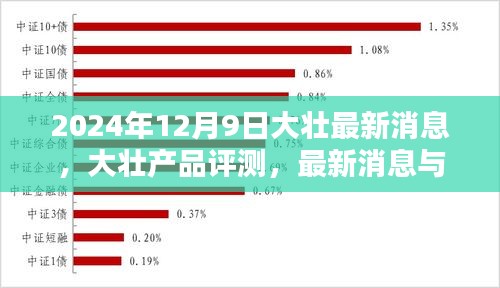 大壮最新消息评测与深度分析（2024年12月版）