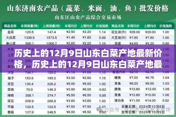 历史上的12月9日山东白菜产地最新价格，历史上的12月9日山东白菜产地最新价格概览及分析