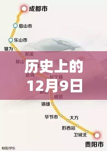 乌鸟私情 第5页