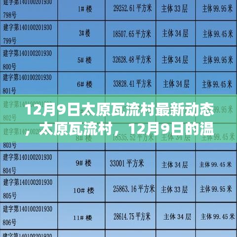 太原瓦流村12月9日最新动态，温馨日常故事揭秘