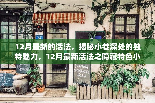 揭秘小巷魅力，12月最新活法之隐藏特色小店