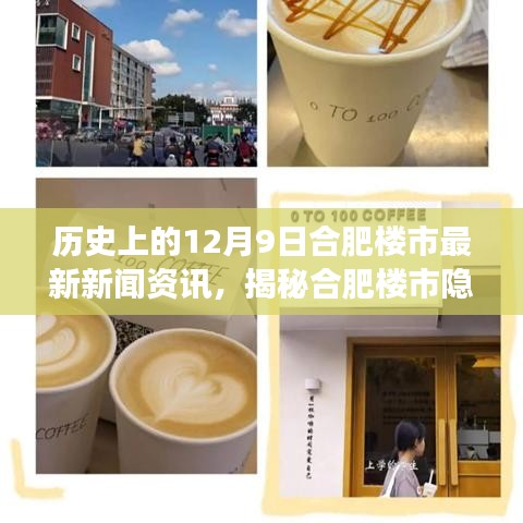 合肥楼市历史揭秘，探寻神秘小巷中的历史新闻与隐藏小店，历史之旅启程