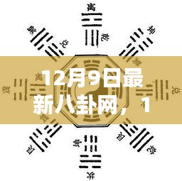 12月9日最新八卦网热点揭秘，娱乐圈最新动态一网打尽