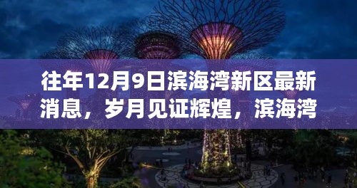 滨海湾新区历年蜕变，岁月见证辉煌，最新消息揭秘十二月九日影响力