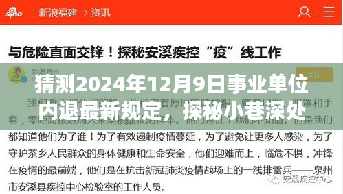 事业单位内退新规定揭秘，小巷深处的特色小店与未来内退政策展望（猜测版）