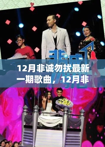 12月非诚勿扰最新一期歌曲详解与评测