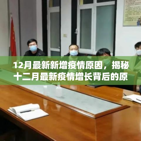 揭秘十二月新增疫情增长背后的原因，多角度深度解析疫情增长源头与影响