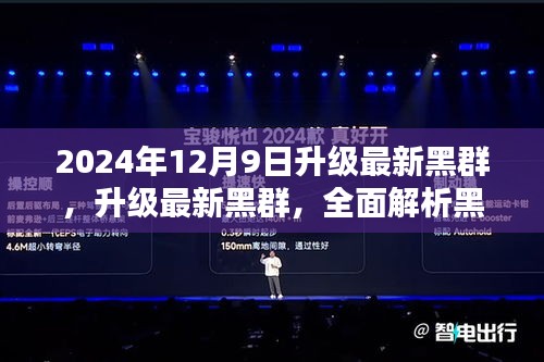 全面解析黑群系统特性与体验，升级最新黑群系统指南（2024年）