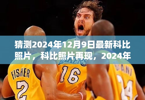 科比照片再现，揭秘最新猜想与争议，探寻真相于2024年12月9日