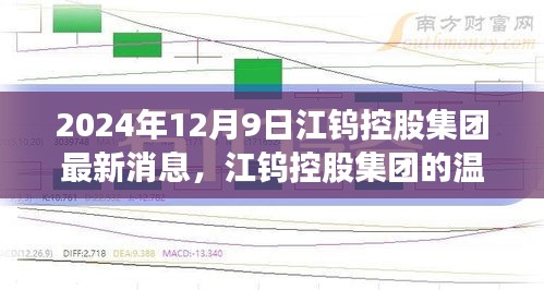 江钨控股集团的温馨日常，友情、欢笑与共同前行的力量（2024年12月9日最新消息）