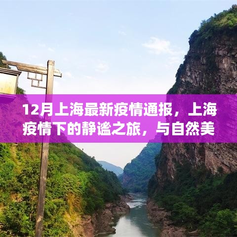 上海疫情下的静谧之旅，与自然美景的邂逅与最新疫情通报