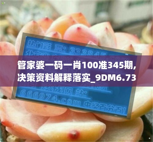 管家婆一码一肖100准345期,决策资料解释落实_9DM6.731