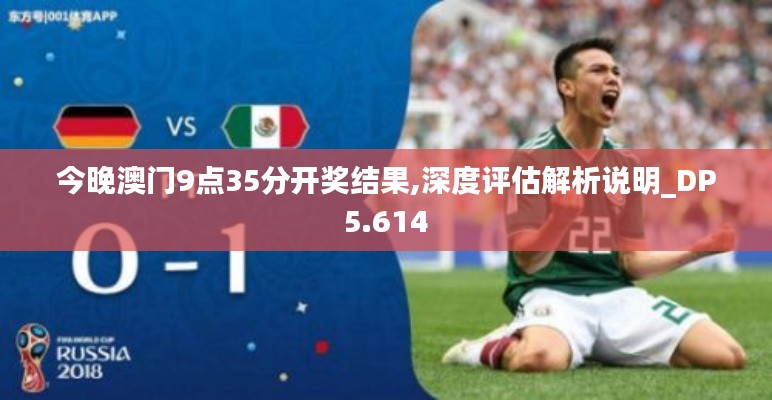 今晚澳门9点35分开奖结果,深度评估解析说明_DP5.614