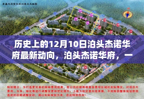 泊头杰诺华府十二月十日最新动态，温馨日常故事在寒冷冬日揭晓