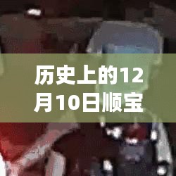 顺宝天誉三期房价历史探寻，穿越时光尘埃的自然秘境之旅