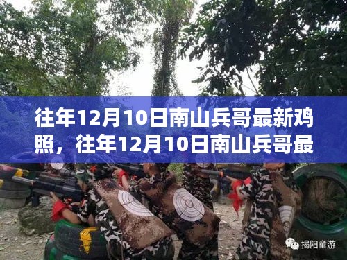 南山兵哥鸡照聚焦，热点下的多元观点碰撞日回顾