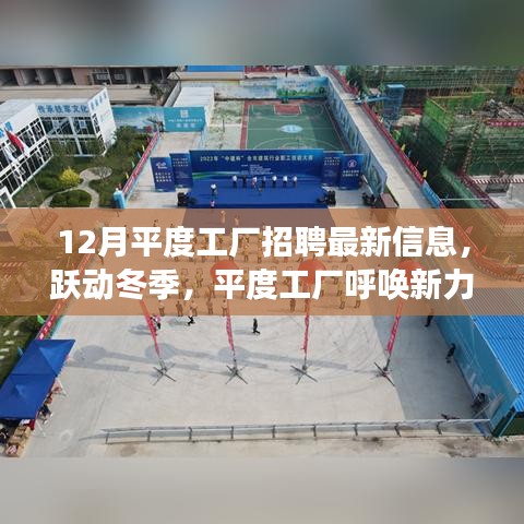 平度工厂冬季招聘启幕，最新招聘信息，开启职业转变之旅