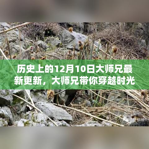 大师兄带你穿越时光，历史上的12月10日与自然美景的不解之缘