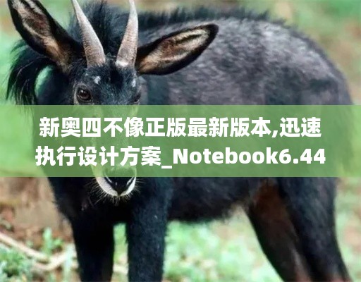 新奥四不像正版最新版本,迅速执行设计方案_Notebook6.447