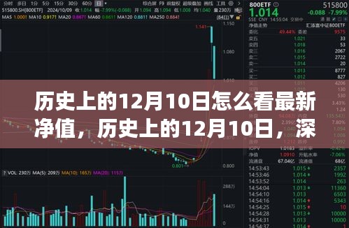 历史上的12月10日净值深度解读与最新演变分析