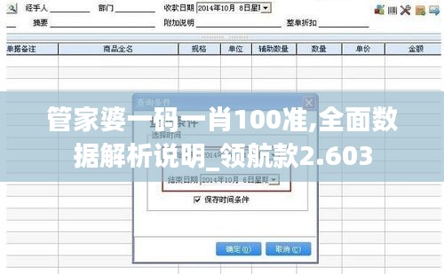 管家婆一码一肖100准,全面数据解析说明_领航款2.603