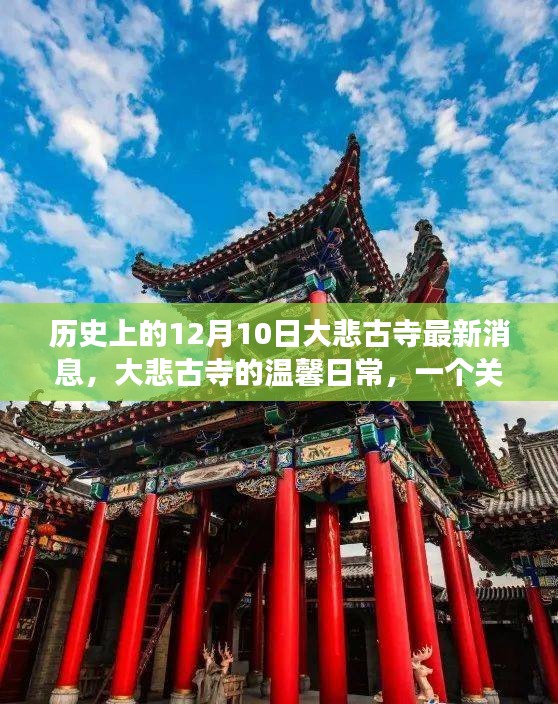 历史上的大悲古寺，友谊与陪伴的温馨日常——最新消息回顾
