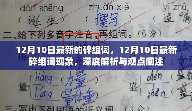 12月10日最新碎组词现象，深度解析与观点阐述