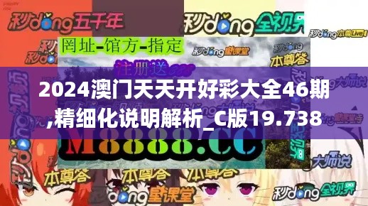 2024澳门天天开好彩大全46期,精细化说明解析_C版19.738