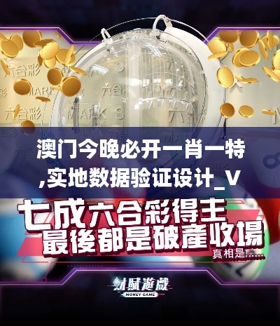 澳门今晚必开一肖一特,实地数据验证设计_VR3.750