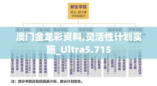 澳门金龙彩资料,灵活性计划实施_Ultra5.715