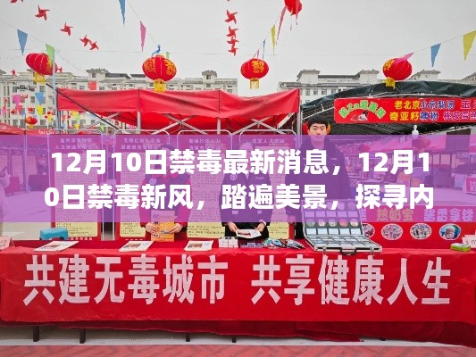 12月10日禁毒新风，踏遍美景的禁毒之旅，探寻内心宁静的禁毒行动