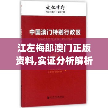 江左梅郎澳门正版资料,实证分析解析说明_创意版5.988