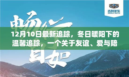 冬日暖阳下的温馨故事，友谊、爱与陪伴的追踪