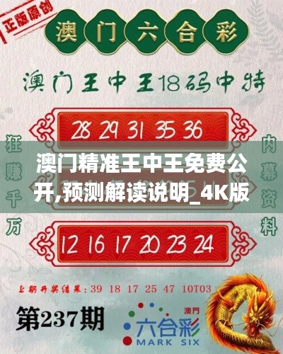 澳门精准王中王免费公开,预测解读说明_4K版9.703