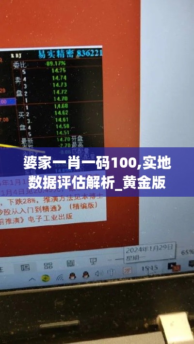 婆家一肖一码100,实地数据评估解析_黄金版13.364