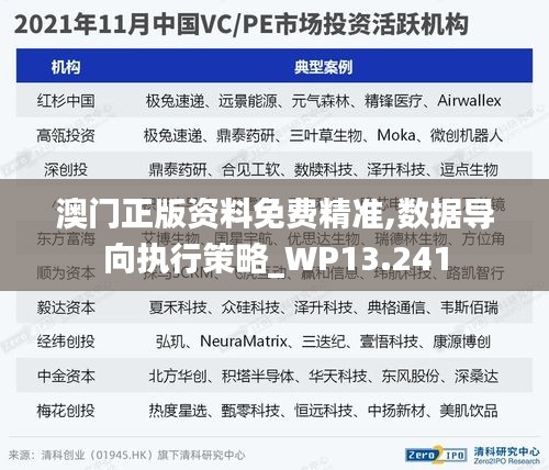 澳门正版资料免费精准,数据导向执行策略_WP13.241
