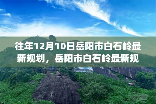 岳阳市白石岭最新规划深度探析，某观点下的探讨与论述