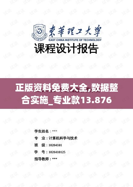 正版资料免费大全,数据整合实施_专业款13.876