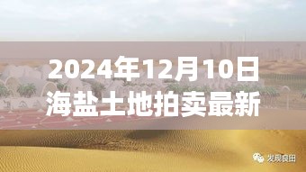 海盐土地拍卖最新动态与宝藏小店探秘，背后的故事