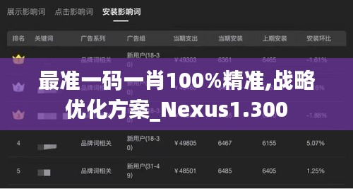 最准一码一肖100%精准,战略优化方案_Nexus1.300