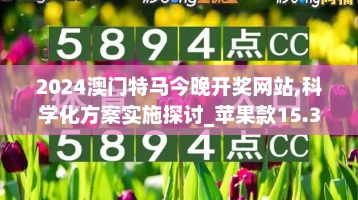 2024澳门特马今晚开奖网站,科学化方案实施探讨_苹果款15.350