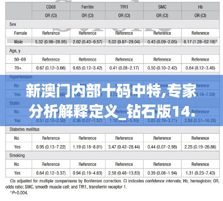 新澳门内部十码中特,专家分析解释定义_钻石版14.421