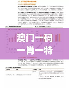 澳门一码一肖一特一中Ta几si,现状分析说明_精英版7.389