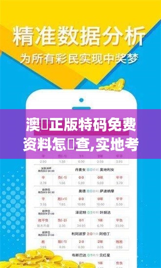 澳門正版特码免费资料怎樣查,实地考察数据执行_M版6.654