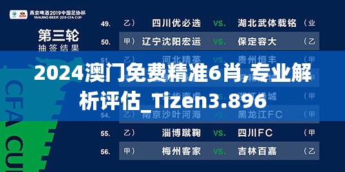 2024澳门免费精准6肖,专业解析评估_Tizen3.896