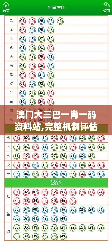 澳门大三巴一肖一码资料站,完整机制评估_P版8.295