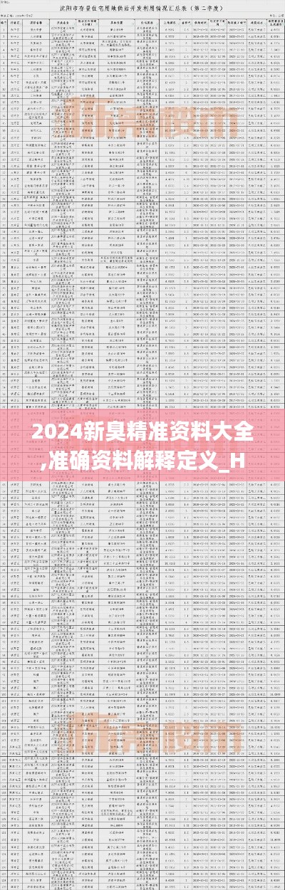 2024新臭精准资料大全,准确资料解释定义_HT10.755