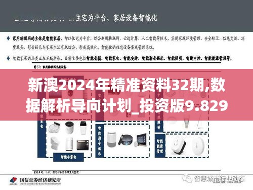 新澳2024年精准资料32期,数据解析导向计划_投资版9.829