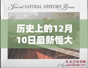 探秘恒大烟魁，小巷深处的独特风味与隐藏的历史秘密（12月10日最新篇章）